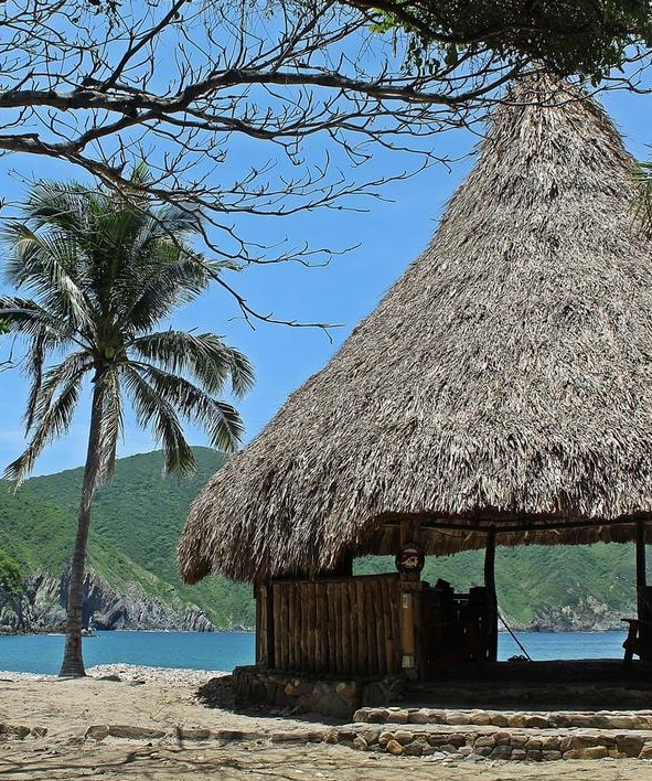 Screenshot 2026-02-21 at 2.29.49 PM