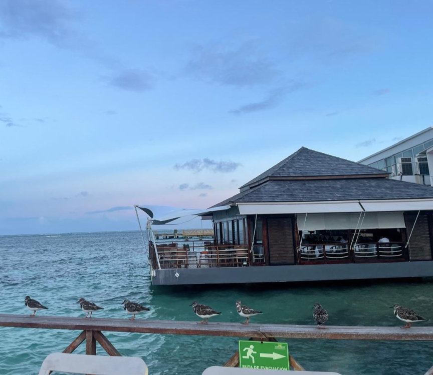 Screenshot 2026-02-22 at 2.31.21 PM