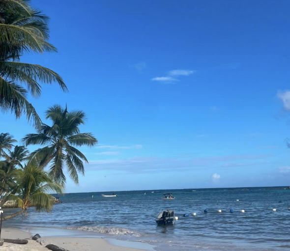 Screenshot 2026-02-22 at 2.31.39 PM