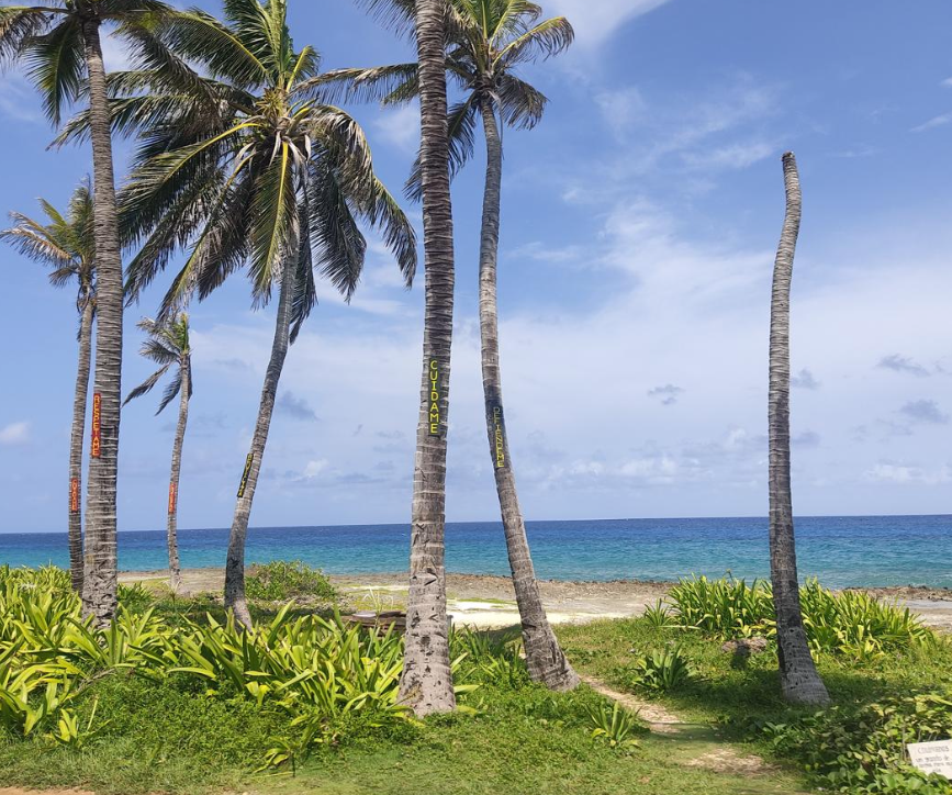 Screenshot 2026-02-22 at 2.32.00 PM