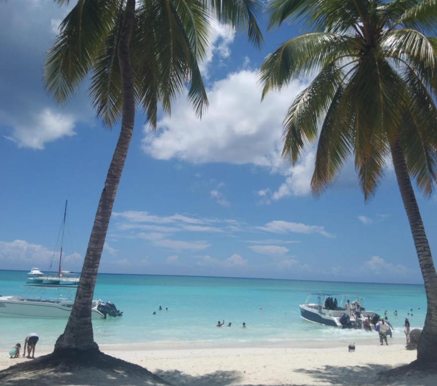 Screenshot 2026-02-22 at 2.33.11 PM