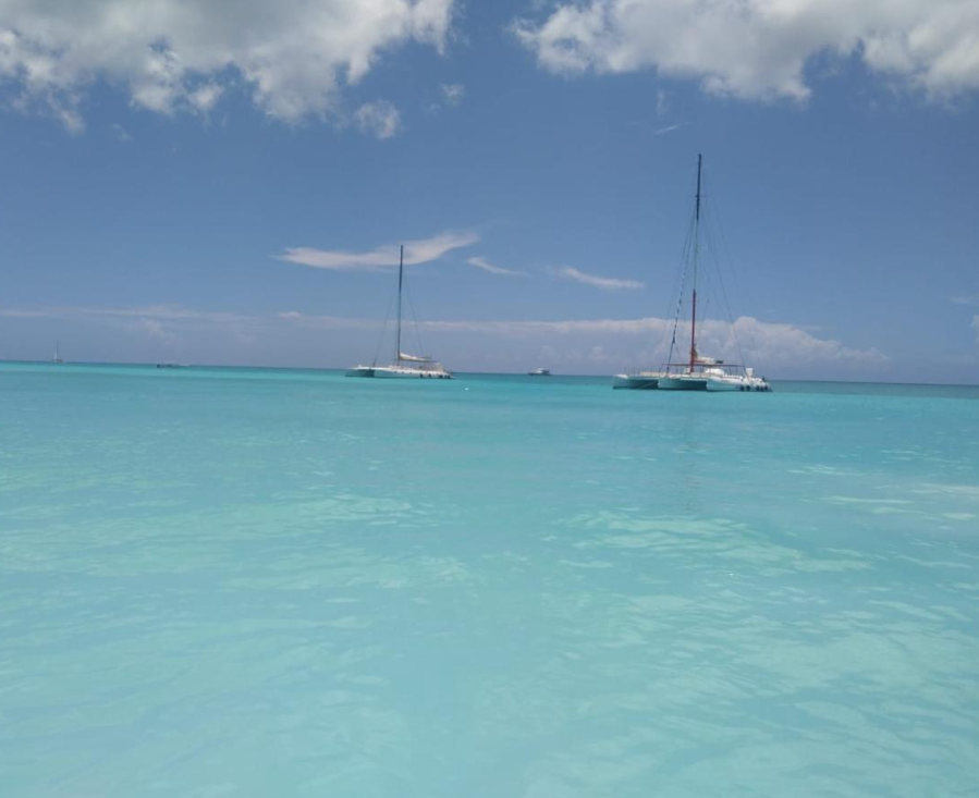 Screenshot 2026-02-23 at 3.32.46 PM