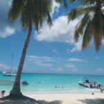 Screenshot 2026-02-23 at 3.33.04 PM