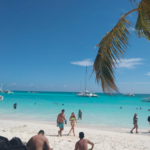 Screenshot 2026-02-23 at 4.09.47 PM