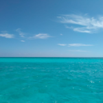 Screenshot 2026-02-23 at 4.10.10 PM