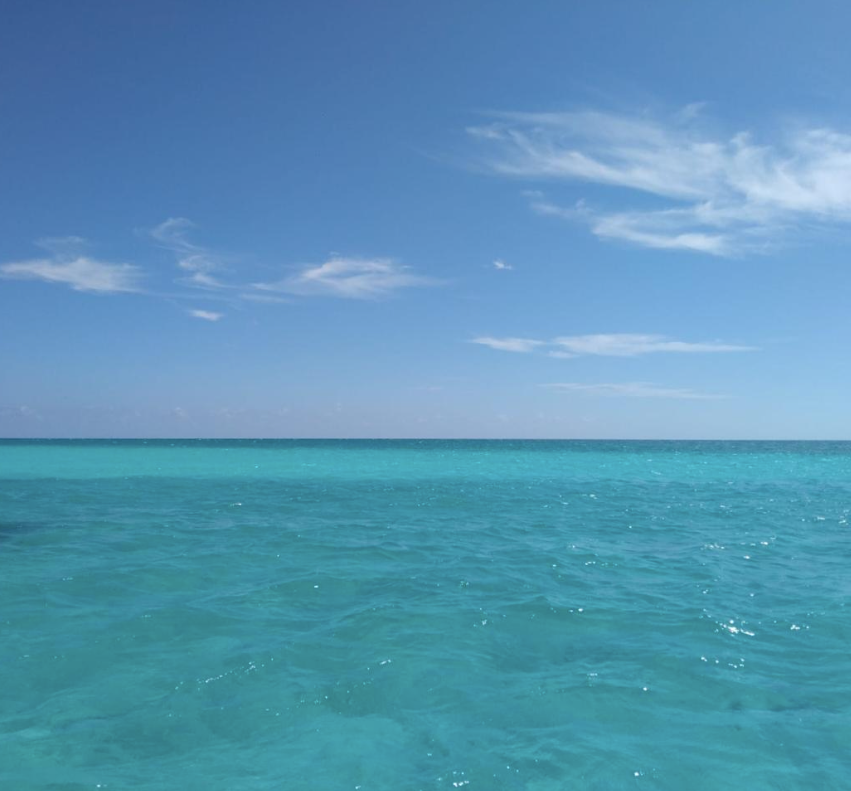 Screenshot 2026-02-23 at 4.10.10 PM