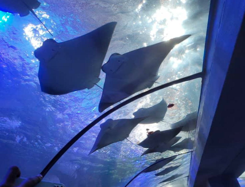 Screenshot 2026-02-23 at 4.12.50 PM