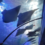 Screenshot 2026-02-23 at 4.12.50 PM