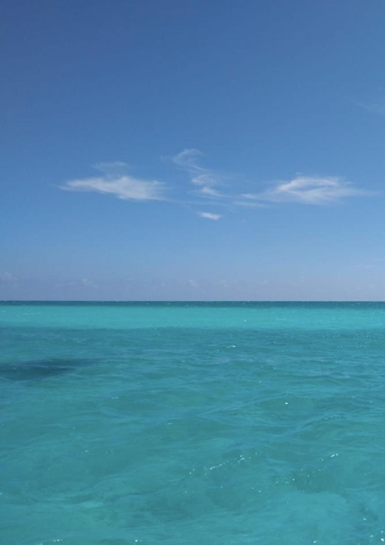 Screenshot 2026-02-23 at 9.42.46 PM