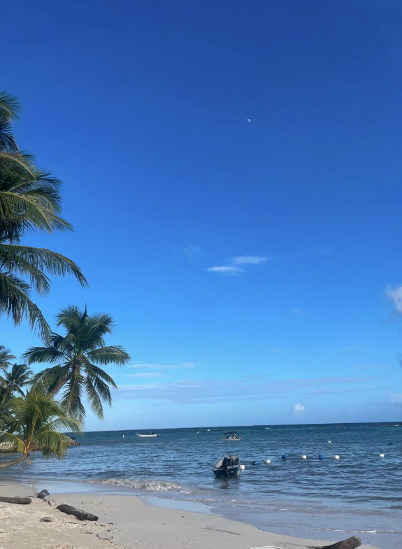 Screenshot 2026-02-23 at 9.44.19 PM