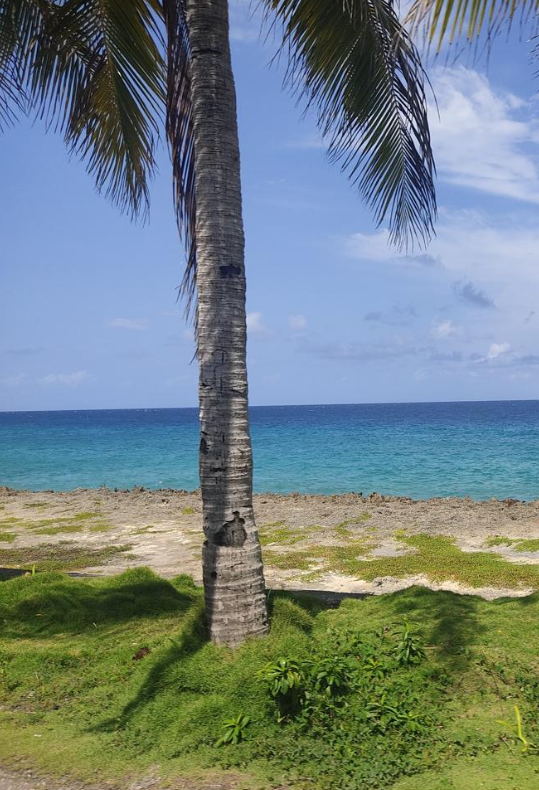 Screenshot 2026-02-23 at 9.45.46 PM