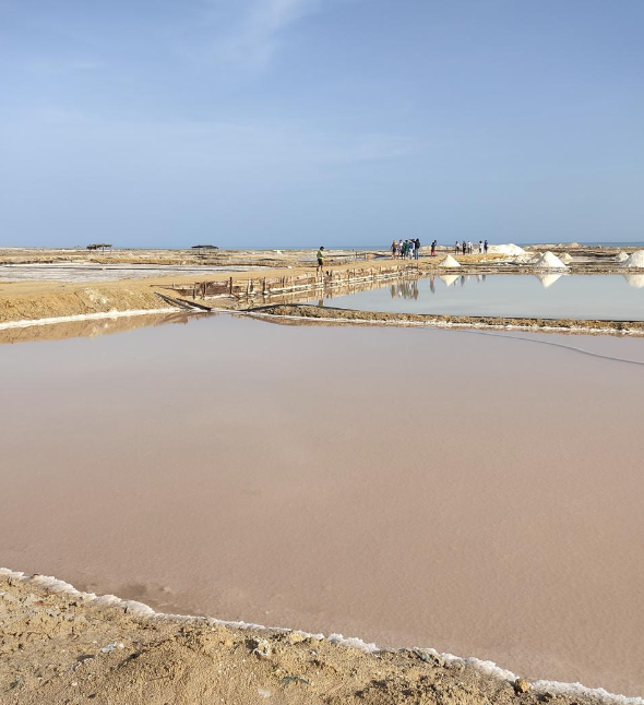 Screenshot 2026-02-24 at 2.11.41 PM