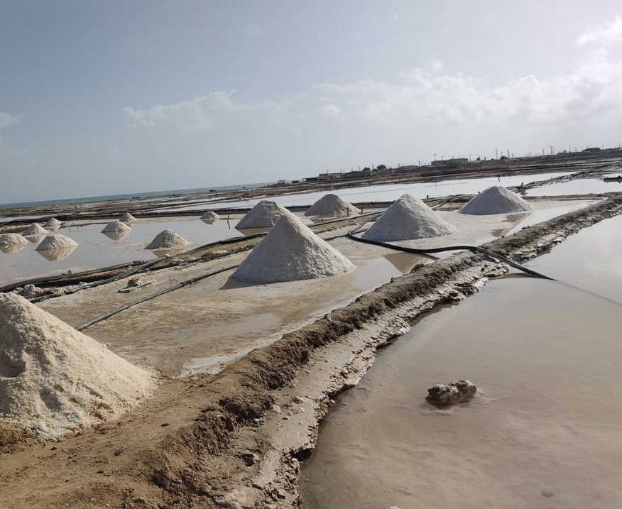 Screenshot 2026-02-24 at 2.11.50 PM