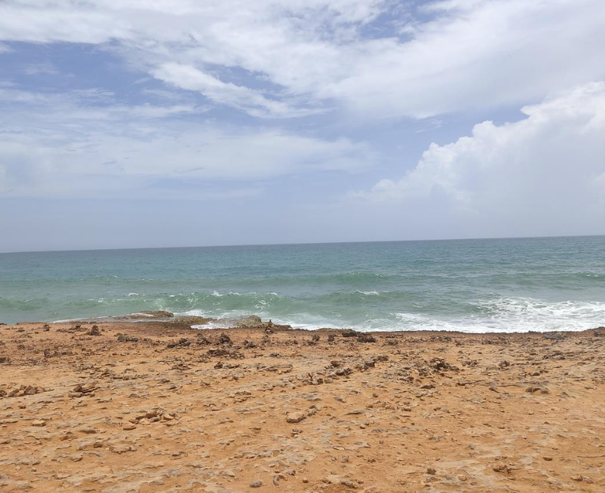 Screenshot 2026-02-24 at 2.12.15 PM