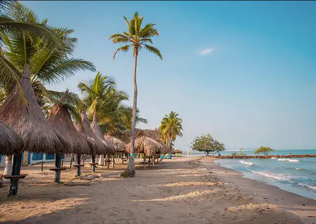 Screenshot 2026-02-24 at 4.58.41 PM