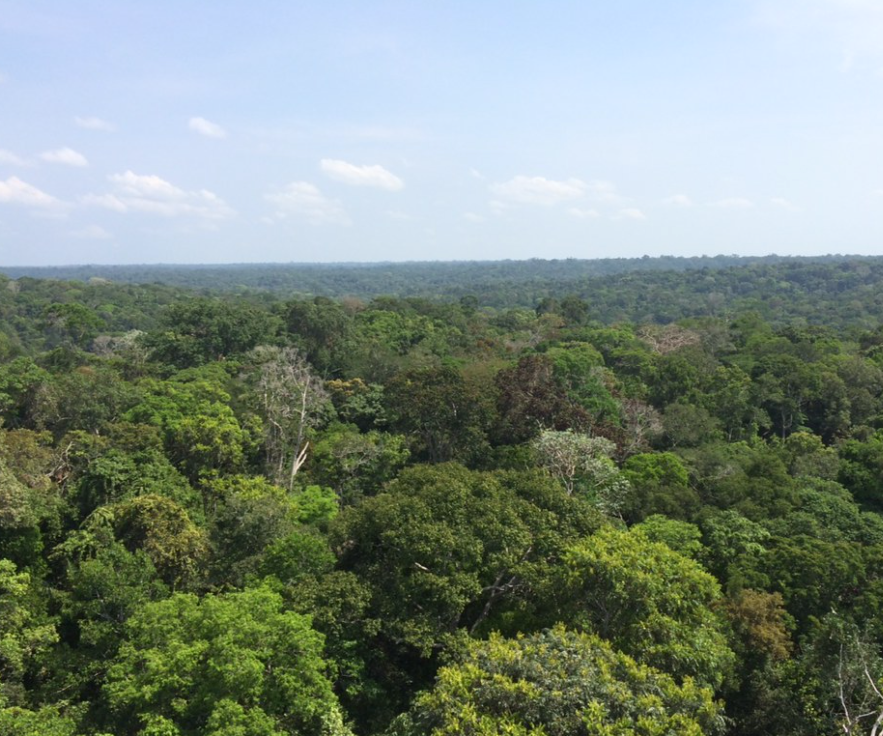 Screenshot 2026-02-24 at 5.14.49 PM