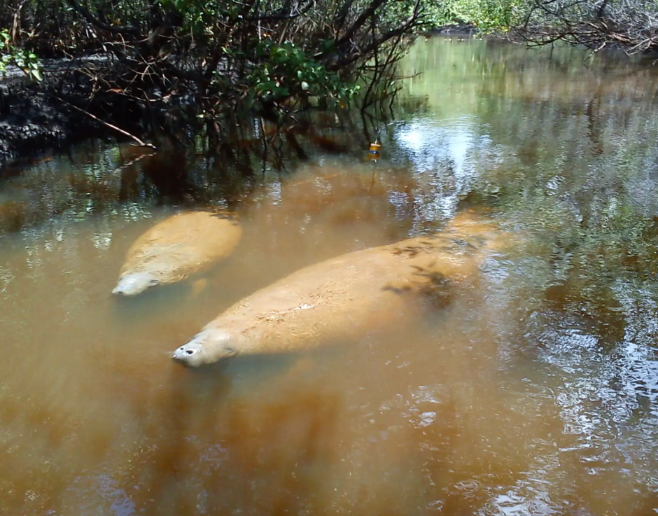 Screenshot 2026-02-24 at 5.17.01 PM