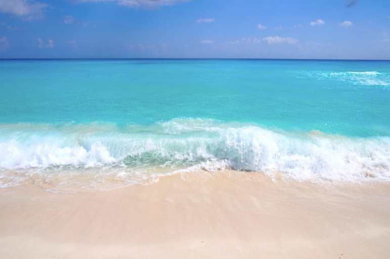 Screenshot 2026-02-24 at 7.59.56 PM