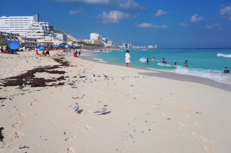 Screenshot 2026-02-24 at 8.00.09 PM