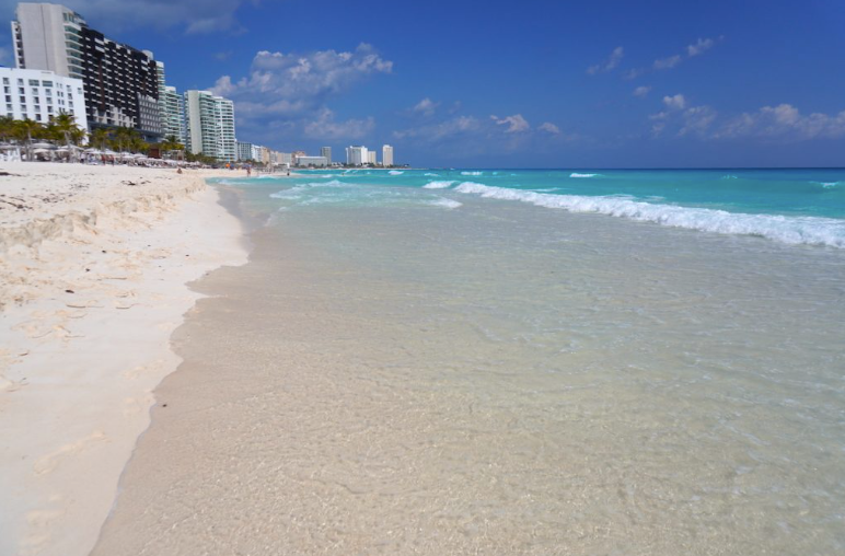 Screenshot 2026-02-24 at 8.01.08 PM