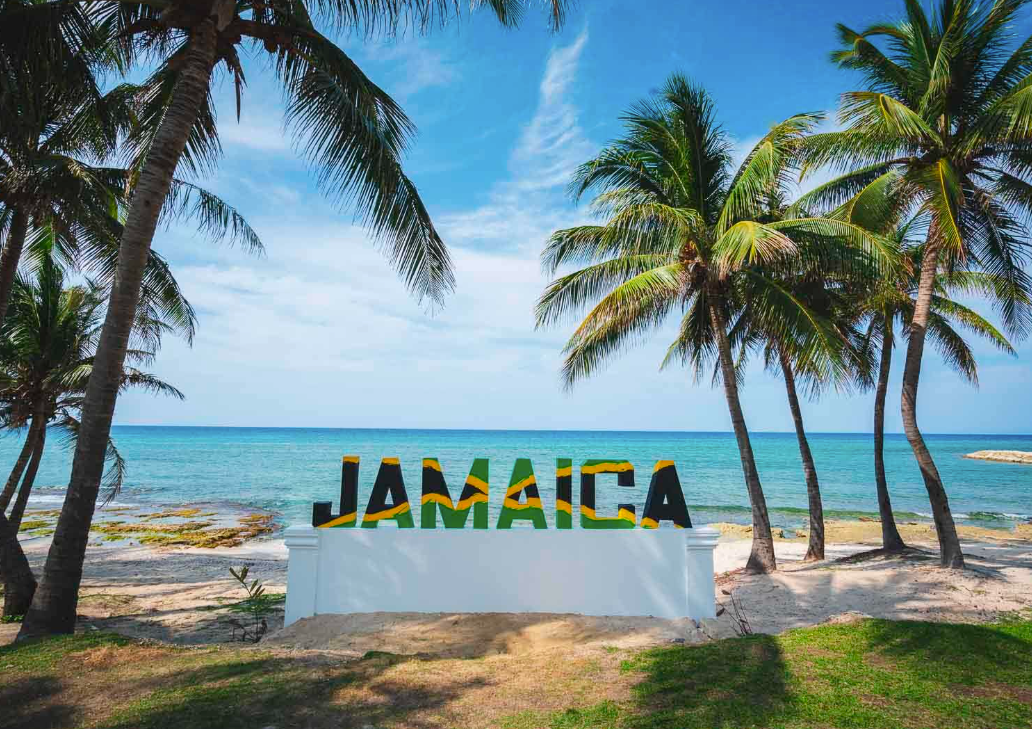 Screenshot 2026-02-25 at 2.24.11 PM