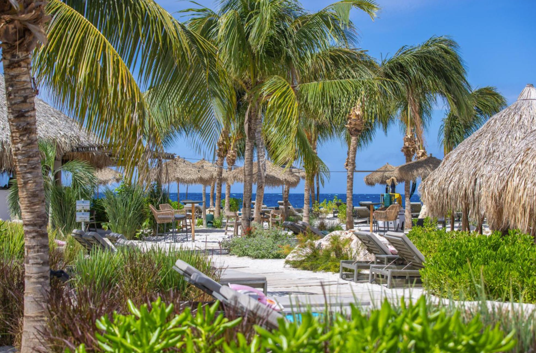 Screenshot 2026-02-25 at 3.44.34 PM