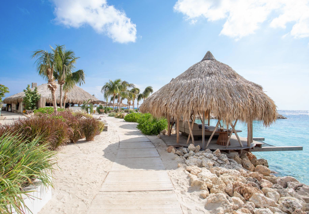 Screenshot 2026-02-25 at 3.45.07 PM