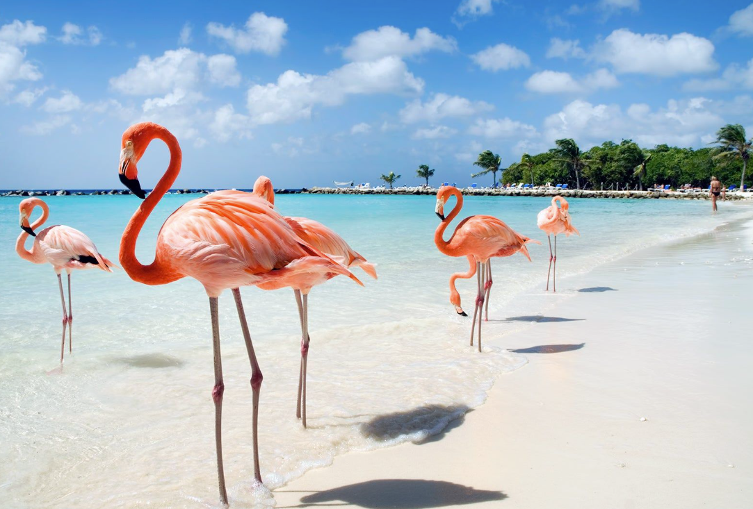 Screenshot 2026-02-25 at 9.46.05 AM